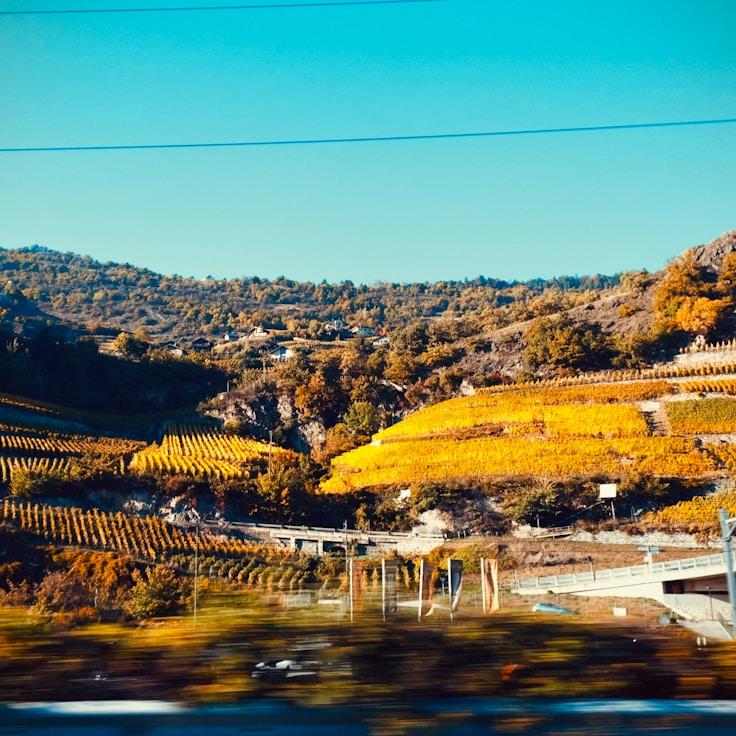 Outdoor terrace seating that works for families in Rome