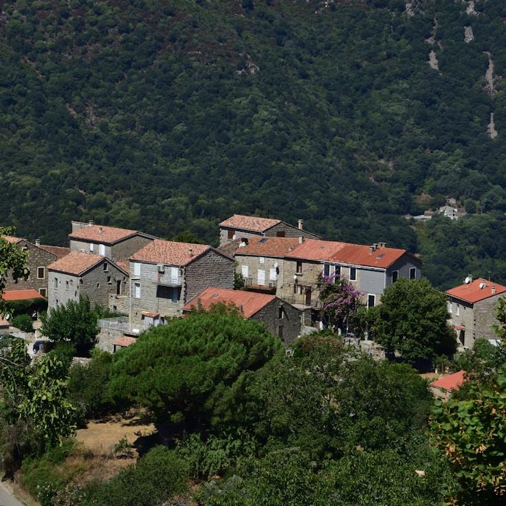 Family terraces and cafés for calm evenings in Rome
